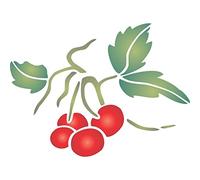 Stencil a forma di ciliegia, 15 x 11,5 cm, riutilizzabile, per frutta, verdura, cucina