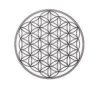 Stencil riutilizzabile Metatron Fiore della Vita A3 A4 A5 e dimensioni più grandi decorazione da parete/FOL (stencil riutilizzabile in PVC, formato A5, 148 x 210 mm, 14,7 x 21,1 cm)