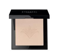 Stendhal Perfecting Compact Powder 110 Porcelaine 9g