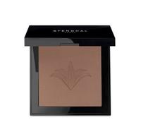 Stendhal Perfecting Compact Powder 150 Santal 9G