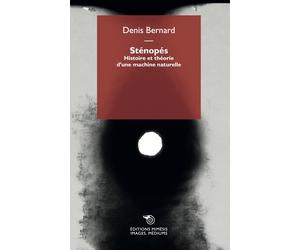 Sténopés. Histoire et théorie d'une machine naturelle - Denis Bernard