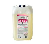 Step 6 Sgrassante Concentrato Kg.10