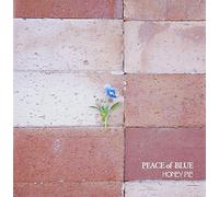 STEP INTO ANOTHER WORLD