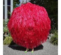 Stephan Eicher - Ode