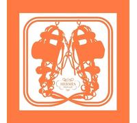 Stéphane Foenkinos Pierre-Alexis Dumas Bernard Hermès pop-up (Copertina rigida)