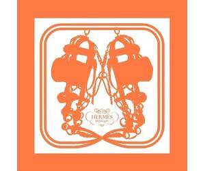 Stéphane Foenkinos Pierre-Alexis Dumas Bernard Hermès pop-up (Copertina rigida)