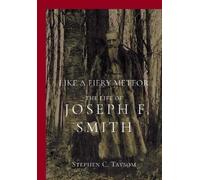 Stephen C Taysom Like a Fiery Meteor (Tascabile)