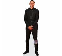 Stephen Curry a grandezza naturale