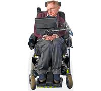 Stephen Hawking (Jumper) a grandezza naturale