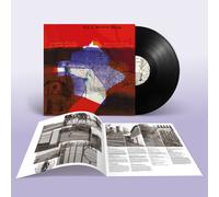 Stephen Pastel and Gavin Thomson This Is Memorial Device (Vinyl LP)