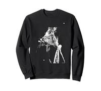 Stephen Tyler Aerosmith Live di Andy Willsher Felpa