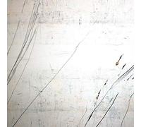 Stephen Vitiello & Taylor Deupree - Fridman Variations