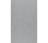 Stepping into the Picture: Cartoon Designer Maurice Noble