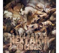 Next Akin To Chaos