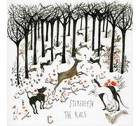 Stereofysh - The Race