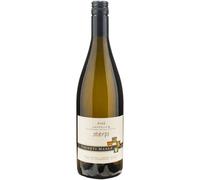 STERPI Derthona Tappo Vite 2022 - Vigneti Massa