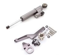 Sterzo Stabilizzatore Moto Compatibile con ZX6R per Ninja 600 per ZX636 2009-2021 Ammortizzatori di Sterzo per Motociclette Kit di Montaggio Stabilizzato Supporto Accessori(Gray)