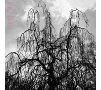 Stetson Colin & Sarah Neufeld - Never Were The Way She Was