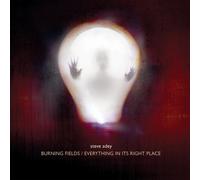 Steve Adey - Everything in It's Right Place