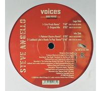 Steve Angello / Voices