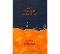 Steve Denehan As if it Meant Something (Tascabile)