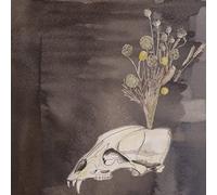 Steve Gunn & Black Twig - Seasonal Hire (Clear Vinyl)