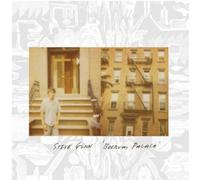 Steve Gunn Boerum Palace (Vinyl LP) 12" Album Coloured Vinyl