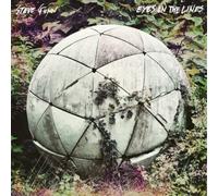 Steve Gunn Eyes On the Lines (Vinyl LP) 12" Album
