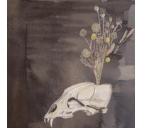 Steve Gunn & the Black Twig Pickers Seasonal Hire (Vinyl LP)