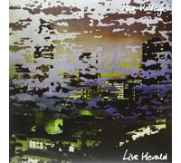 Steve Hillage - Live Herald