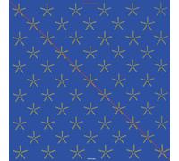 Steve Hillage Xitintoday (Vinyl LP)