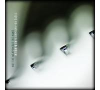 Steve Hogarth & Richard Barbieri Not the Weapon But the Hand (Vinyl LP)