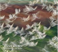 Steve Kilbey Whispers in the Static Album
