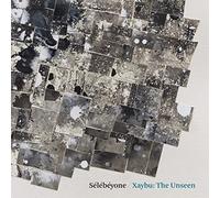 Steve Lehman & Selebeyone - Xaybu: The Unseen