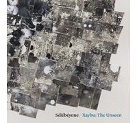 Steve Lehman & Sélébéyone Xaybu: The Unseen (Vinyl LP) 12" Album