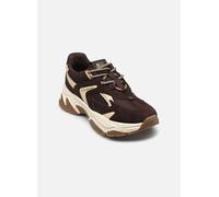 Steve Madden - Campos Sneaker - - Shoes - Donna - Marrone - 40 EU