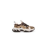 Steve Madden Animates-le Sneakers Brown Leopard Taglia: 38 | Sneakers Outlet | Donna | Marrone