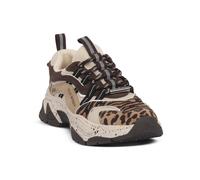 STEVE MADDEN ANIMATES LEO sneakers moda Donna 37