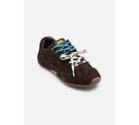 Steve Madden - Asiel Marrone - Sneakers 42 Marrone