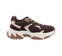 Steve Madden - Campos Sneaker - - Shoes - Donna - Marrone - 41 EU