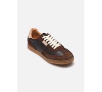 Steve Madden - Emporia Marrone - Sneakers 40 Marrone