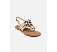 Steve Madden - Genie Oro e bronzo - Sandali e scarpe aperte 37 Oro e bronzo