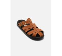 Steve Madden - Mamba Marrone - Zoccoli 40 Marrone