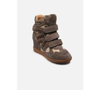 Steve Madden - Mavis Grigio - 41 Grigio