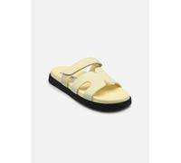 Steve Madden - Missile Giallo - Zoccoli 38 Giallo
