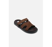 Steve Madden - Missile Marrone - Zoccoli 41 Marrone