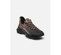Steve Madden Sneaker Mistica