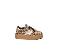 Steve Madden Moxy Sneakers Leopard Taglia: 37 | Sneakers Outlet | Donna