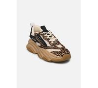 Steve Madden - Possession-E Marrone - Sneakers 41 Marrone