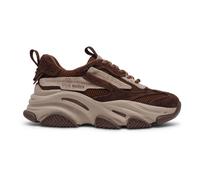 Steve Madden - Possession-E Sneaker - - Shoes - Donna - Marrone - 41 EU